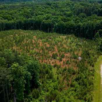 23+/- acres - Chester Co - PT-04b