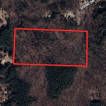20 Acres-Winston County