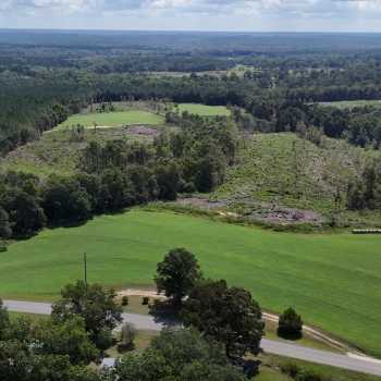 53+/- acres - Dale County, Alabama - North Skipperville Tract