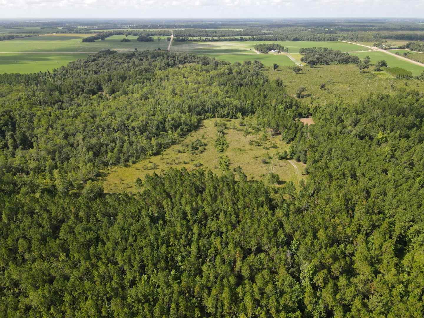 52 / acres Houston County AL Pilgrim Church Tract