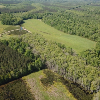 608 Ac. - Marengo County - Campground Tract