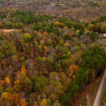 88+/- acres - McNairy County - Center Hill Rd