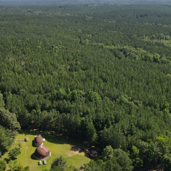 110 Ac- Covington County, AL- Attisano Farm