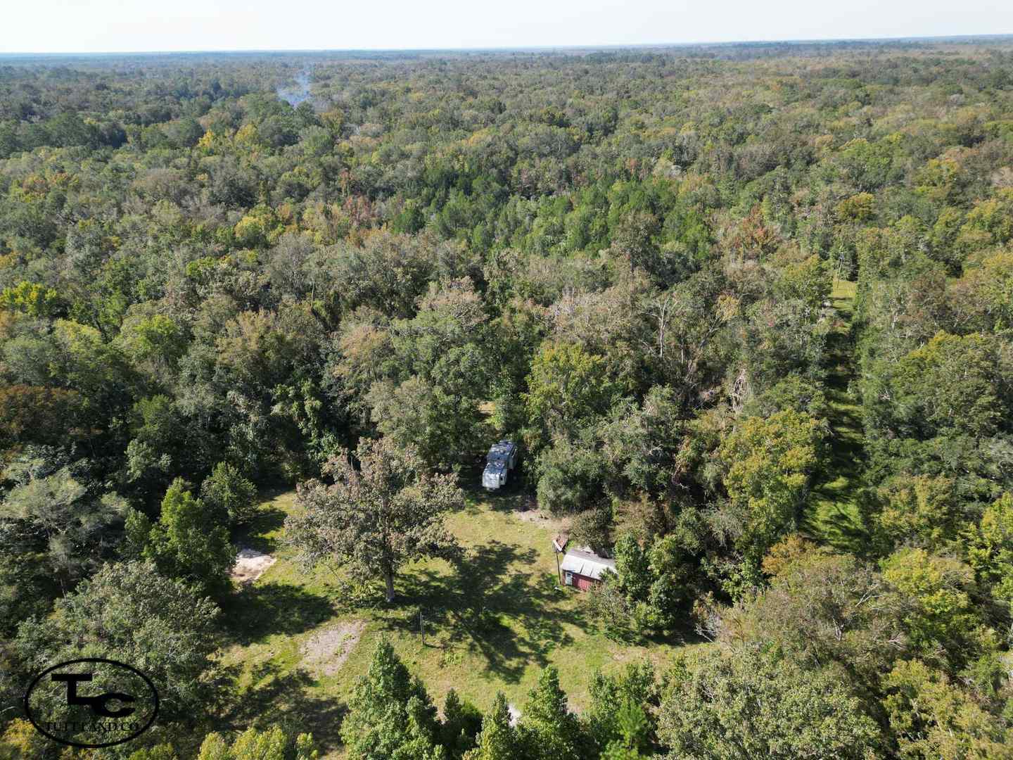 10ac - Levy County - Fish Camp Tract (WM)30.jpg