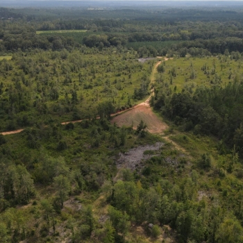 193 +/- acres - Henry Co, AL - Indian Creek Tract