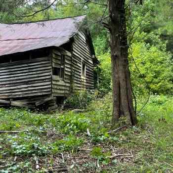 10 +/- Acres - Lamar County - Rustic Cabin Tract