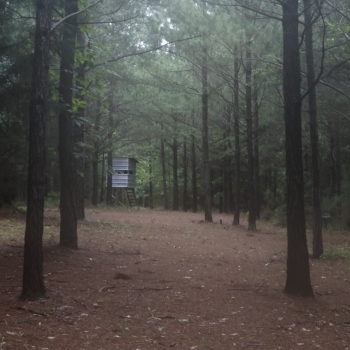 123 Acre - Agricola Tract - Tallapoosa County
