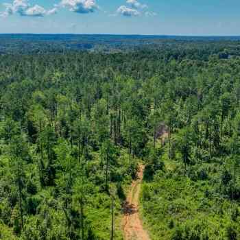 68 acres - Densmore Property - Tuscaloosa County