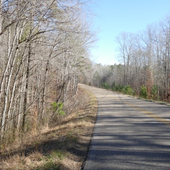 10+-Acres - Coosa County, AL - Homesite & Timber Opportunity #2