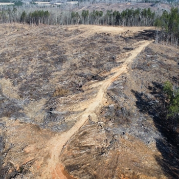 17 +/- Ac -Marion County, AL - Stinson Road Tract