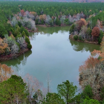 275 +/- Ac - Clay County, MS - Old Vinton Tract