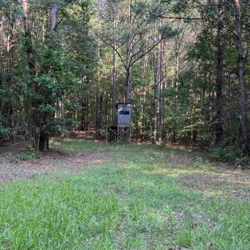 70 +/- Ac - Tuscaloosa County, AL - Tract 5