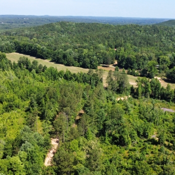 38.7 +/- Acres - Fayette County, AL - Ridge Road Tract