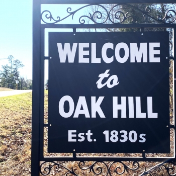 239 Acres - Wilcox Co. - Oak Hill Tract