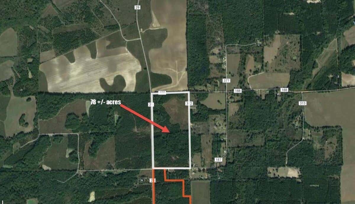 78 ac - Dallas Co - Orrville Tract North