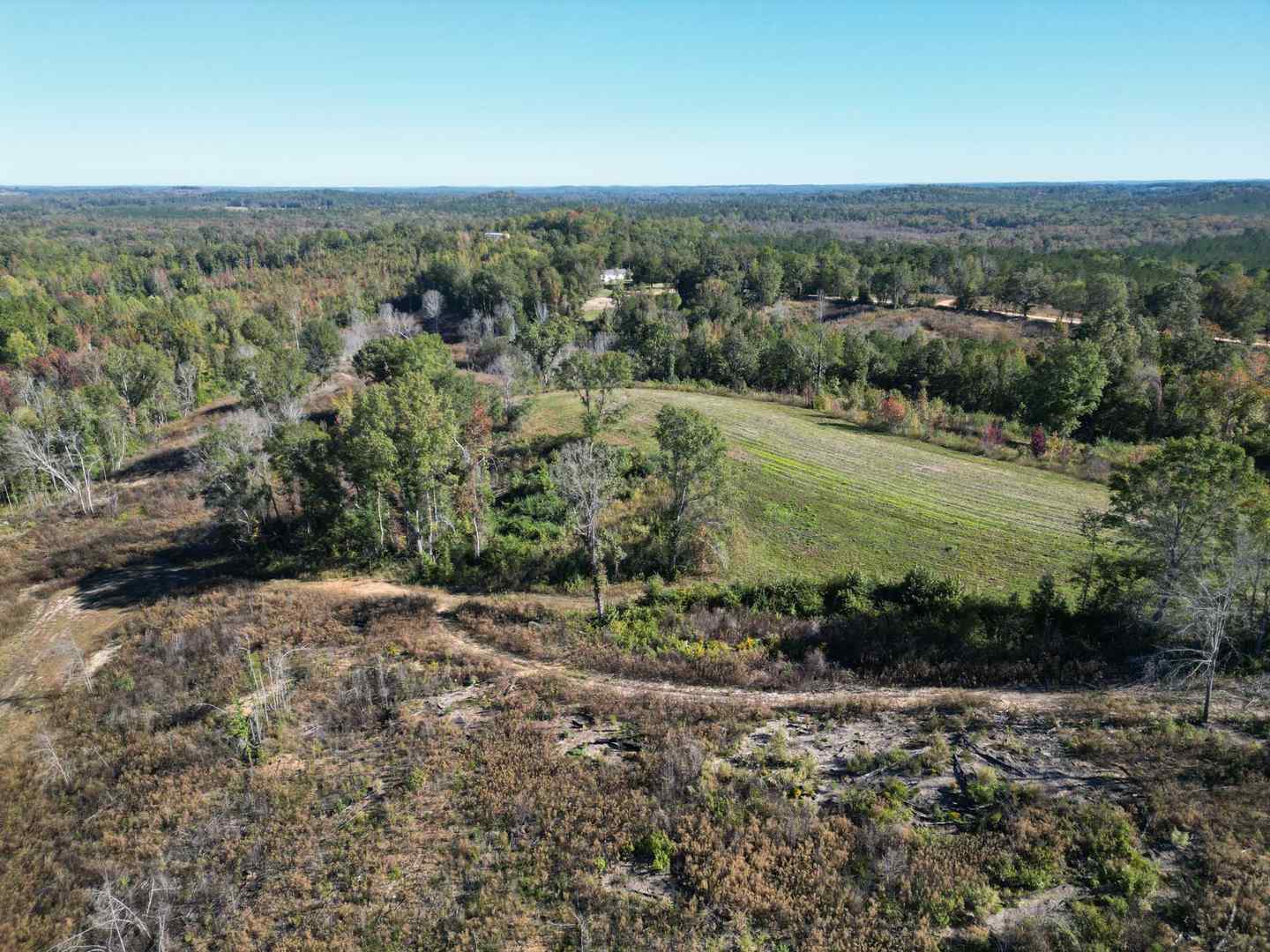 dji_fly_20241017_091612_262_1729178919734_photo.JPG