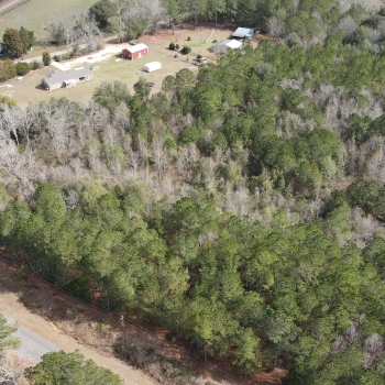 10 Ac- Covington County, AL- Horn Hill Tract