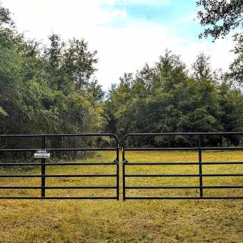 12.9 +/- Ac - Houston County, AL - Chattahoochee Mini Farm
