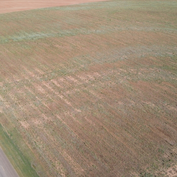County Rd 514 Homesites- Multiple Parcels- Coffee County, AL
