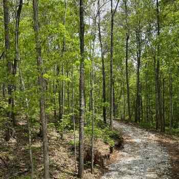 10 +/- Acres - Coosa County - Goodwater Tract