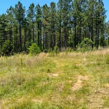 141.5 +/- Acres - Talbot County, GA - Prattsburg  Plantation