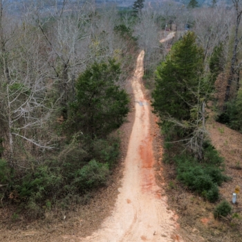 5 +/- Acres - Dallas County, AL - Valley Grande Homesite