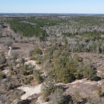 120 +/- acres - Dale County, AL - Ammons Pond East Tract 1