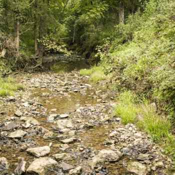 10 Acre Homesite in Lawrence County