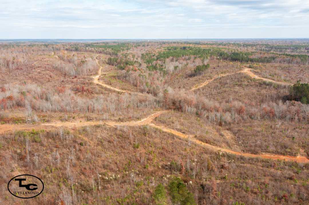 630 ac - Walker County - Curry Property (WM)30.jpg