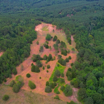 157 +/- Acres - Blount County, AL- Murckle Branch Tract