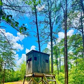 193 Acres-Winston County-CR-2 Tract