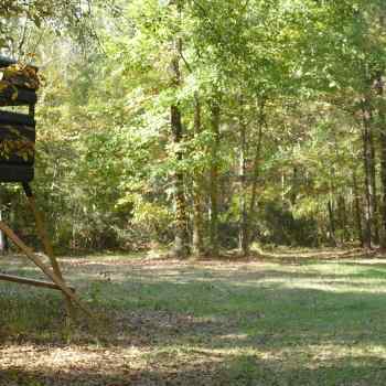 102 Acres - Autauga County, AL - Timberland Retreat