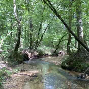 40 Acres - Monroe Co. - Turkey Road 40