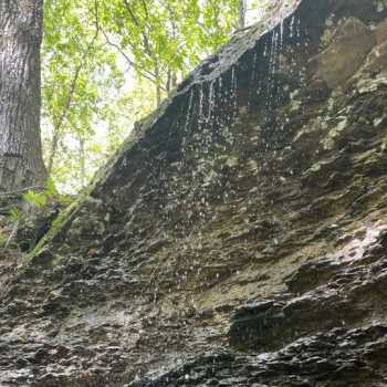 41 +/- Ac - St Clair County, AL - Blount Mtn #1