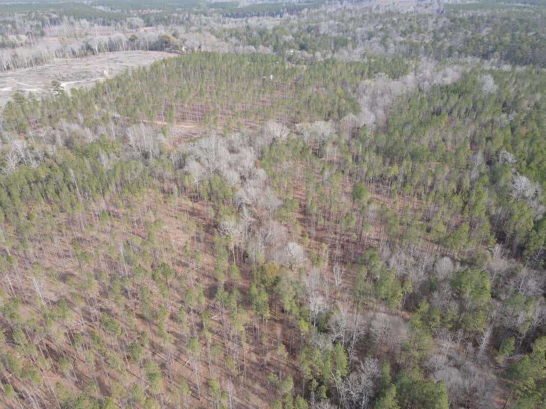 Souwilpa Road Tract- 65ac-Choctaw Co. AL