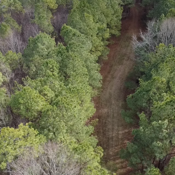 50.95 +/- Acres - Blount County - Liberty Tract