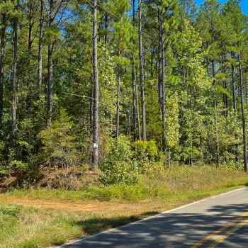 170.22 acres - Carroll Co - Yuma Tree Farm
