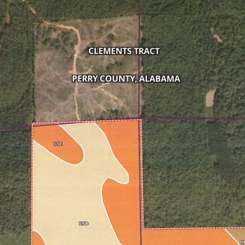 Clements Tract - 120 acres - Perry County, Alabama