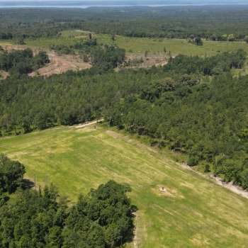 345+/- acres - Clay County, GA - Cotton Hill Tract