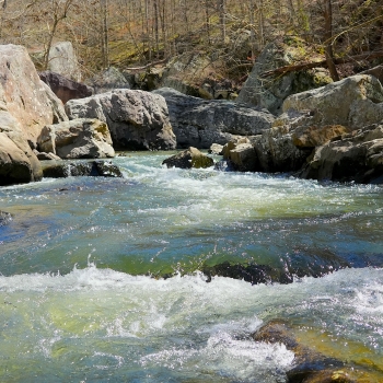 88 +/- Ac - Jackson County, AL - Canyon View Tract
