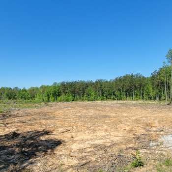 22+/- acres - Chester Co - LH-02