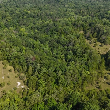 26.7 +/- Acres - Lowndes County - County Road 11 Tract 1