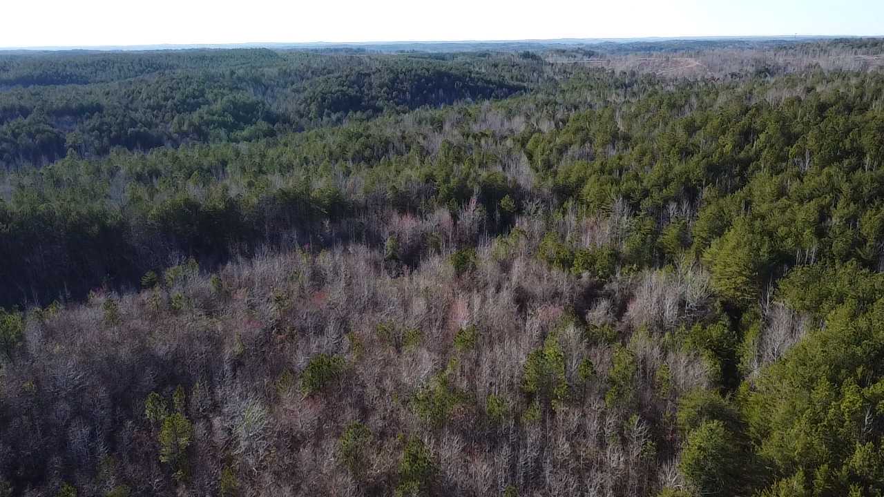 157ac - Fayette County - Z&C Properties LLC-19.jpg