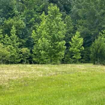 10 +/- Acres - Wilcox County, AL - Legacy Shores Lot 51
