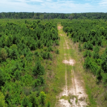 150 +/- Acres - Lauderdale County, MS - Whynot Tract
