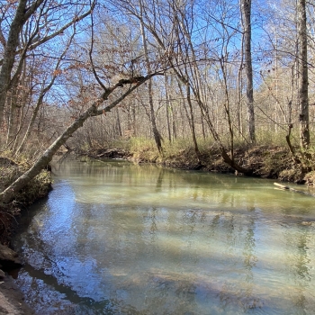 200 acres - Lee County - Loblockee Farms