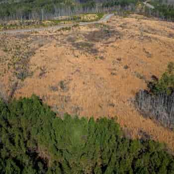 21+/- acres - Chester Co - PT-06