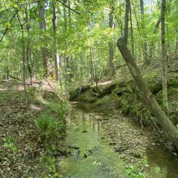 52 ac - Macon County - Highway 14 Tract