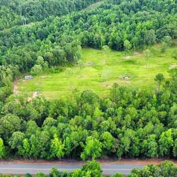 25 +/- ac - Tuscaloosa County - Homesite and Horse Farm
