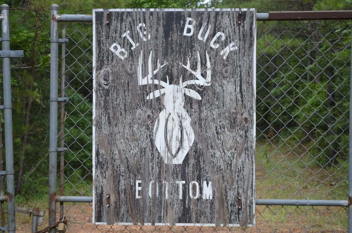 Big Buck Bottom-381ac-Clarke MS